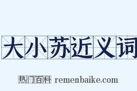 大小苏近义词是什么意思的图片